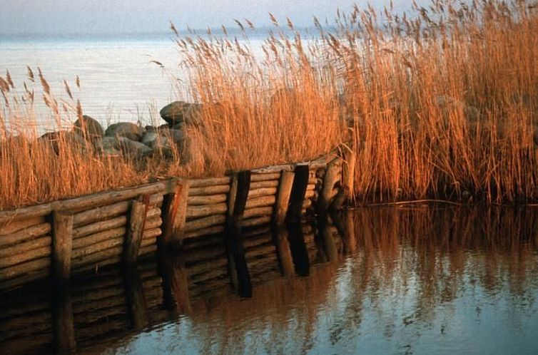Appartement Fewo "Bootsscheune"