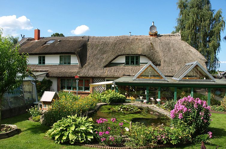 Unterkunft 03045401 - Appartement Ostsee - Appartement Brigitte