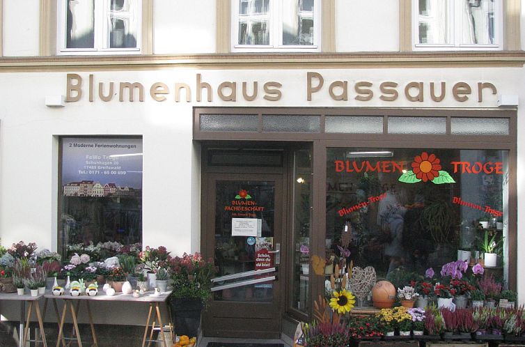 Appartement Moderne Ferienwohnung mitten in Greifswald