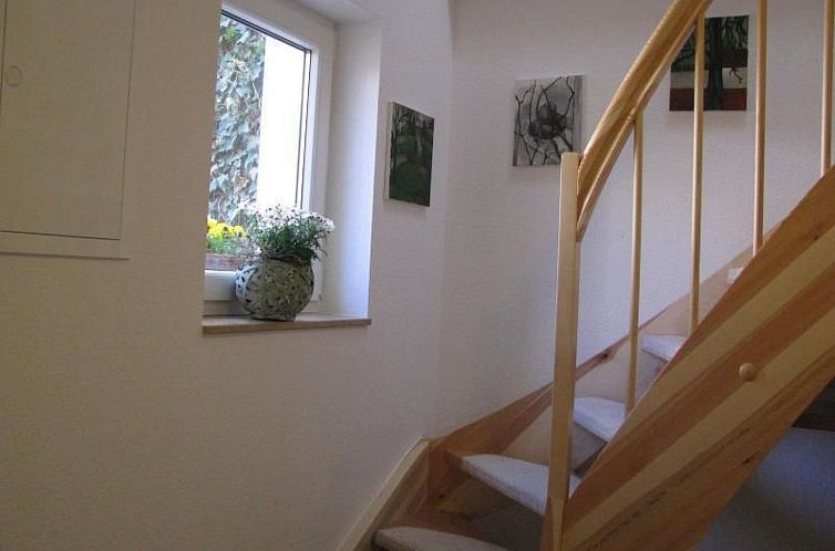 Appartement Moderne Wohnung mit Terrasse in zentraler Lage