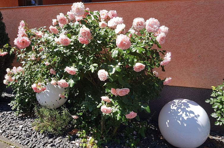 Vakantiehuis Waldperle