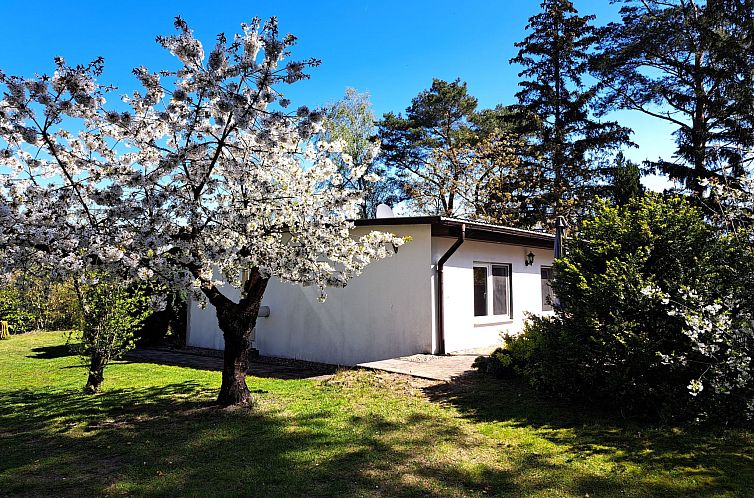 Unterkunft 03047111 - Ferienhaus Ostsee - Vakantiehuis mit Terrasse mitten im Grünen