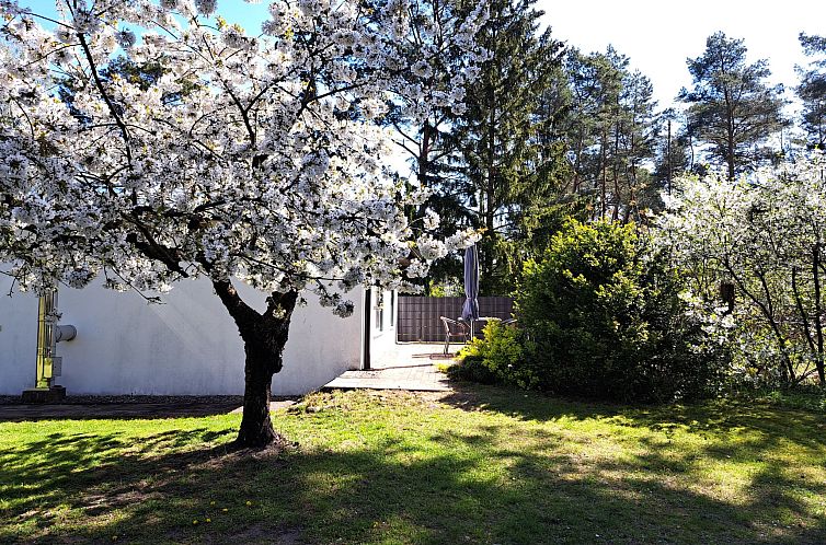 Vakantiehuis mit Terrasse mitten im Grünen
