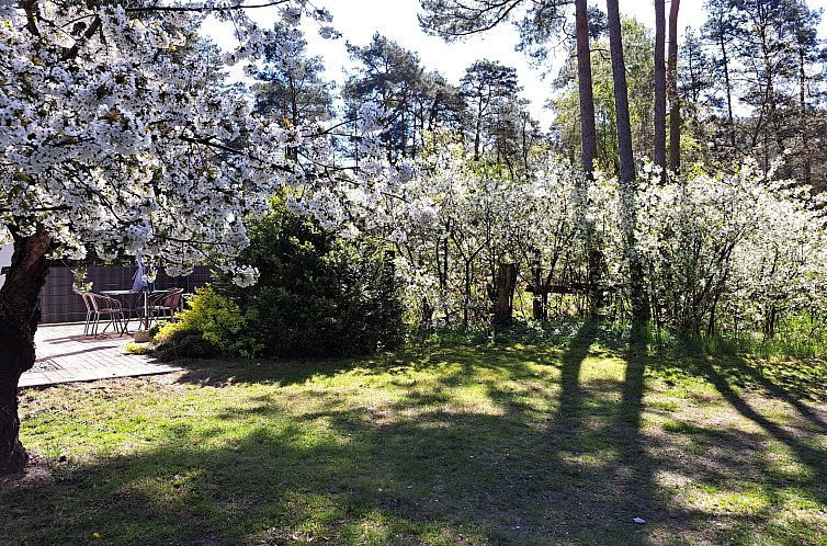 Vakantiehuis mit Terrasse mitten im Grünen