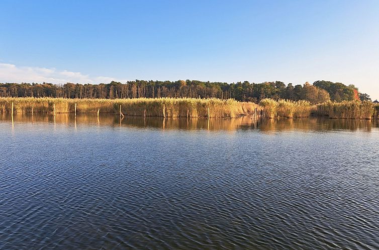 Vakantiehuis mit Terrasse mitten im Grünen