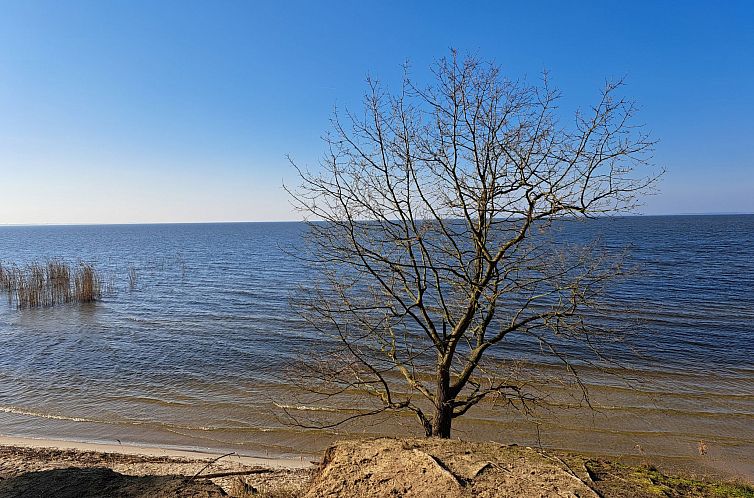 Vakantiehuis mit Terrasse mitten im Grünen