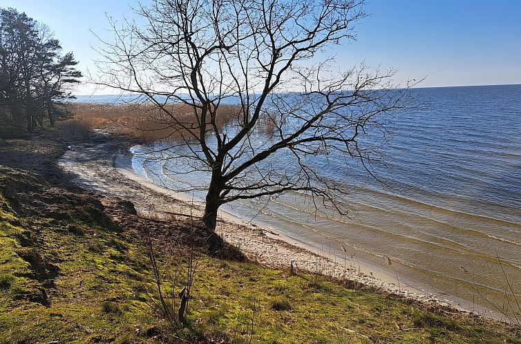 Vakantiehuis mit Terrasse mitten im Grünen
