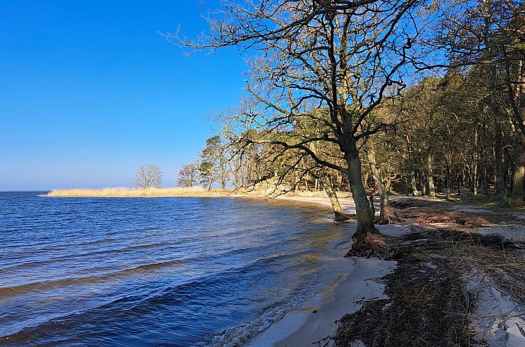 Vakantiehuis mit Terrasse mitten im Grünen