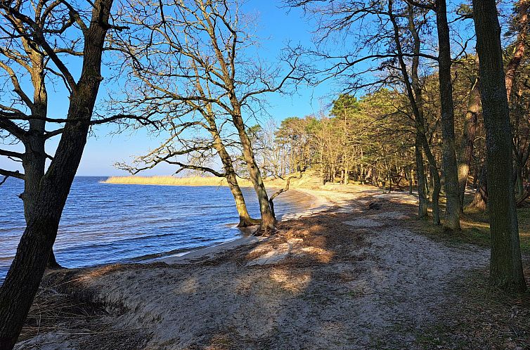 Vakantiehuis mit Terrasse mitten im Grünen