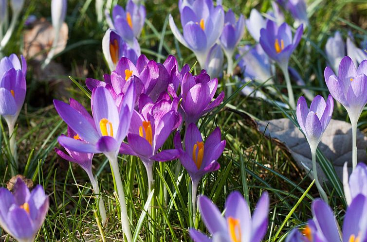 Appartement Am Apothekerberg