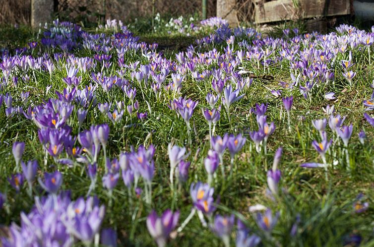 Appartement Am Apothekerberg