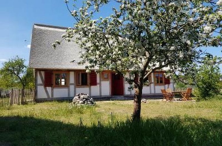 Unterkunft 03047113 - Appartement Ostsee - Appartement Fischerhus LüttHauke