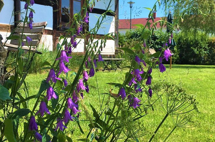 Appartement FH Godewind***** 60