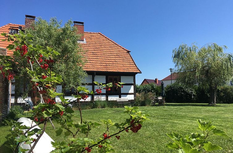 Appartement FH Godewind***** 60