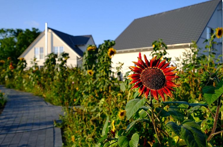 Vakantiehuis Hafenkönigin