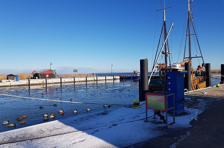 Vakantiehuis gemütlicher Bungalow