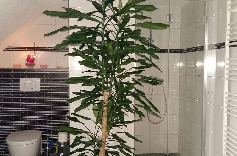 Appartement mit Whirlpool