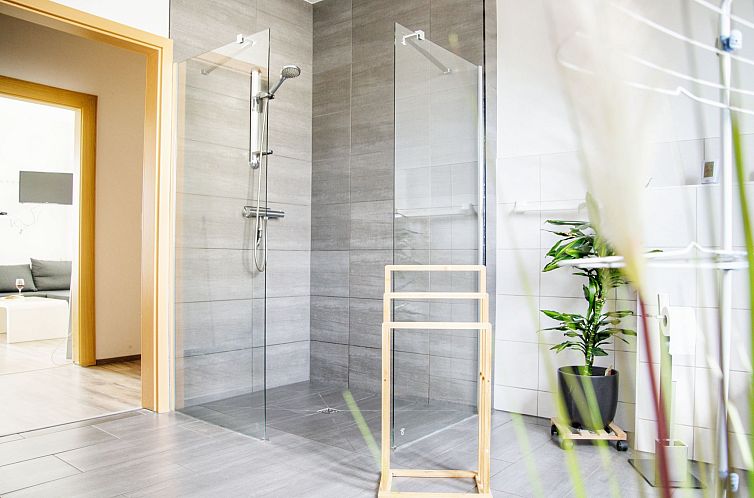 Appartement mit Terrasse