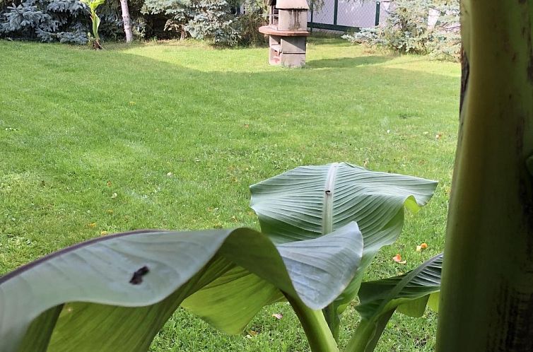 Vakantiehuis mit Garten, Grill und Terrasse