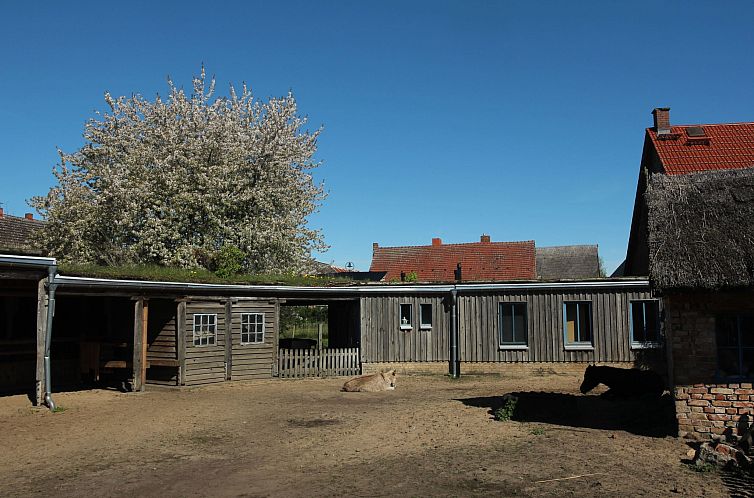 Vakantiehuis Holunderhof