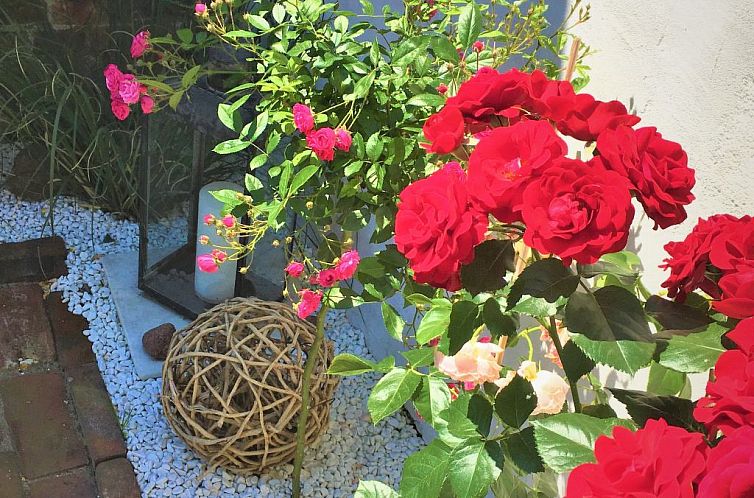 Appartement FH Godewind***** 45