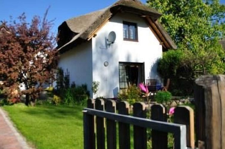 Unterkunft 03048103 - Ferienhaus Ostsee - Vakantiehuis Schönes Ferienhaus mit Terrasse und Grill