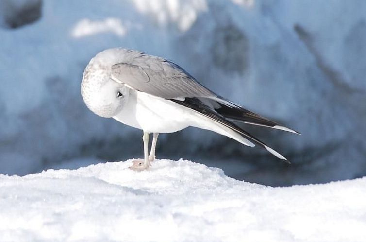 Vakantiehuis Schönes Ferienhaus mit Terrasse und Grill