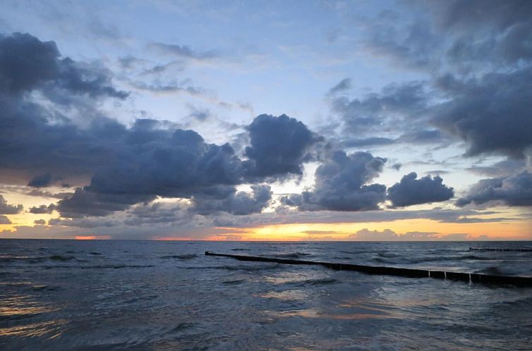 Appartement Wohnung 5