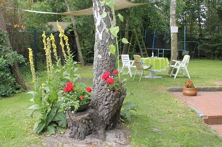 Appartement Wohnung 4