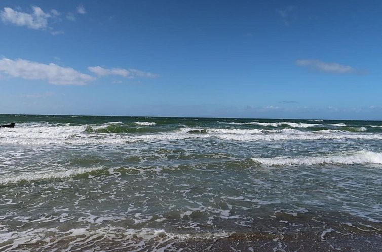 Appartement Wohnung 4