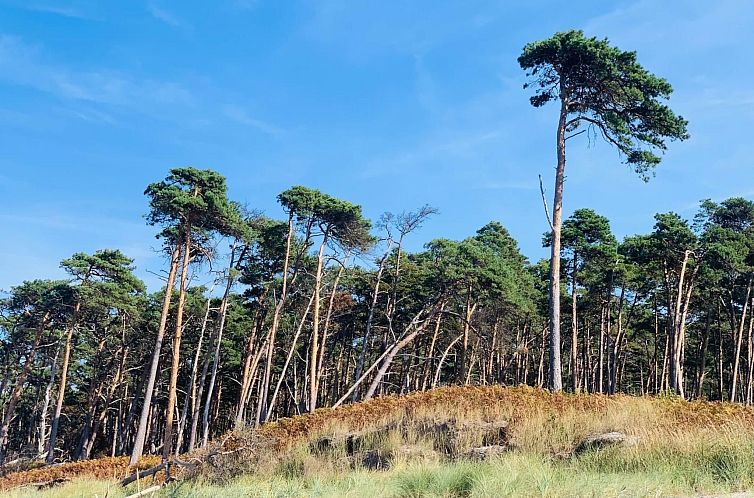 Appartement Wohnung 3