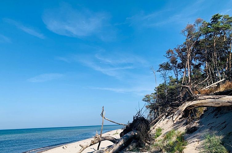 Appartement Wohnung 3