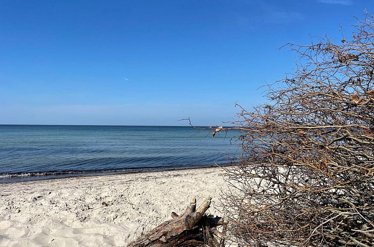 Appartement Wohnung 3