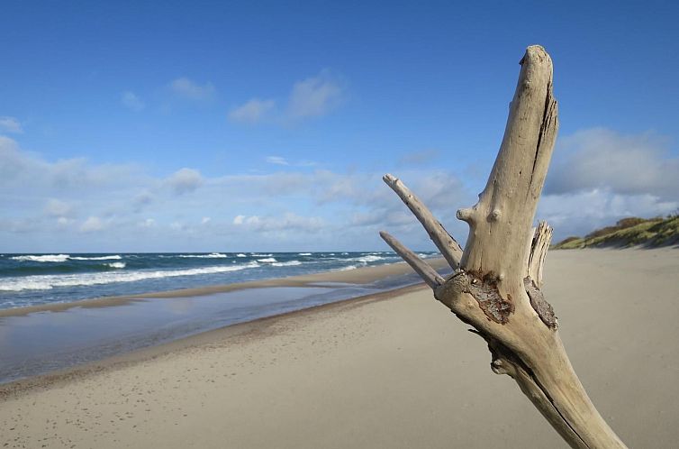 Appartement Wohnung 2