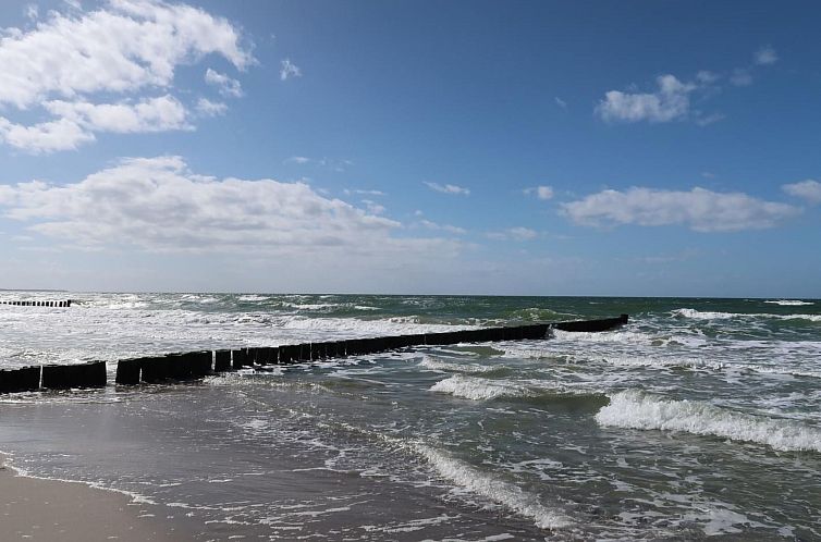 Appartement Wohnung 2