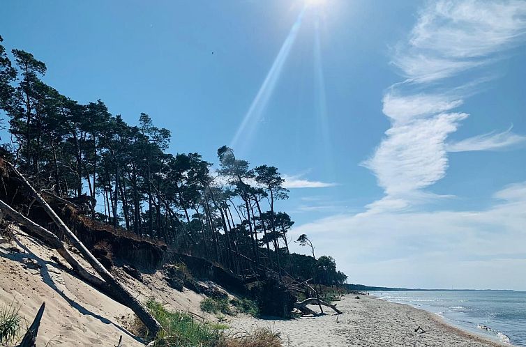 Appartement Wohnung 2