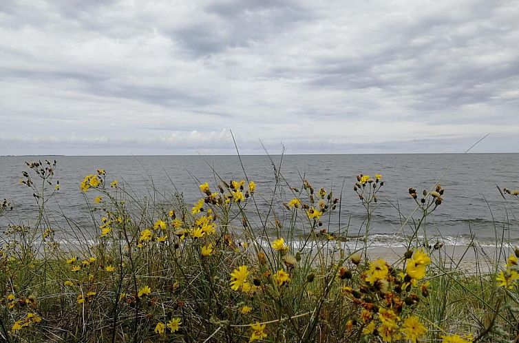 Appartement Wohnung 2