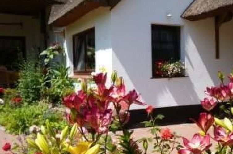 Guest house 03048115 - Apartment Baltic Sea - Appartement Morgensünn- Nette Wohnung in Althagen mit Terra