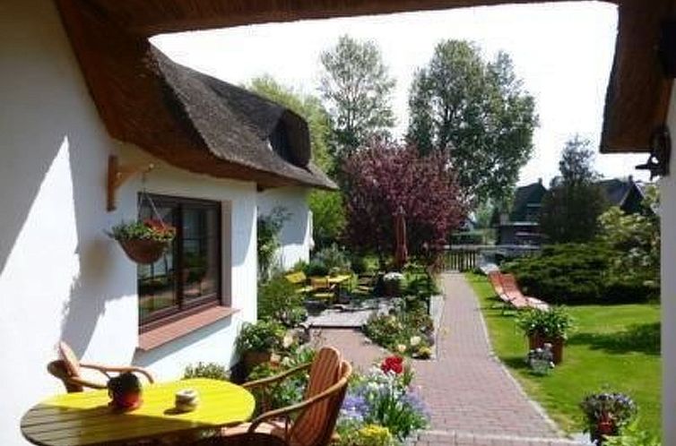 Appartement Morgensünn- Nette Wohnung in Althagen mit Terra