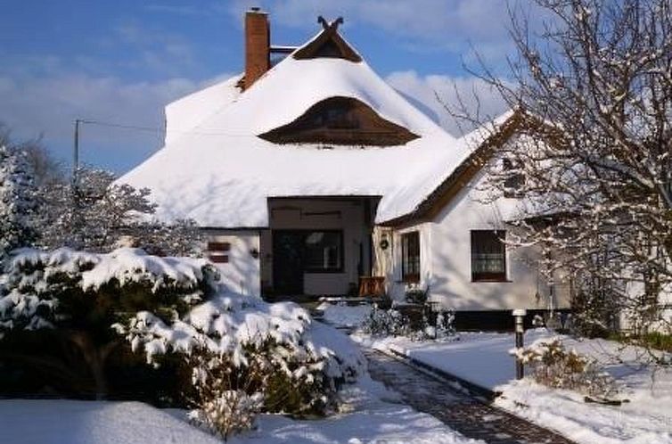 Appartement Morgensünn- Nette Wohnung in Althagen mit Terra