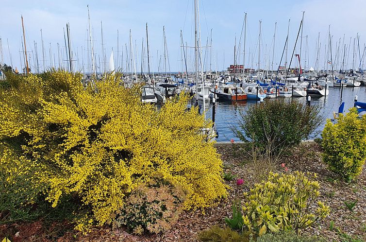 Appartement Komfortable Ferienwohnung in Ostseebad Damp mit 