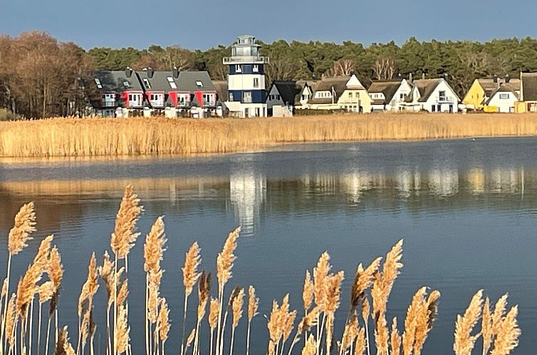 Vakantiehuis Deichhaus St.Barbara