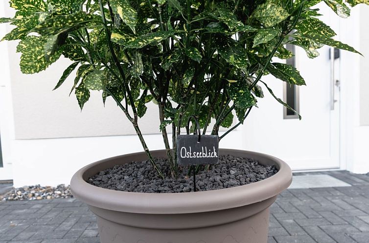 Appartement Herzlich willkommen im Ostseehaus am Naturstand 