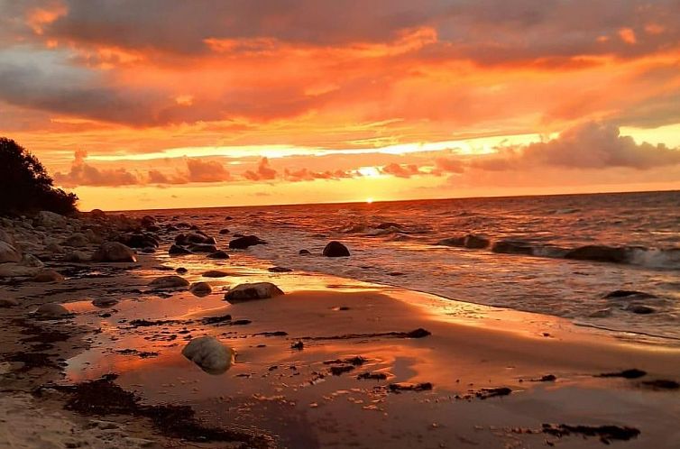 Appartement Herzlich willkommen im Ostseehaus am Naturstand 