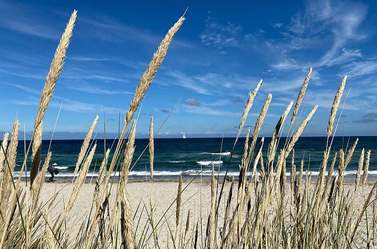 Appartement Herzlich willkommen im Ostseehaus am Naturstand 