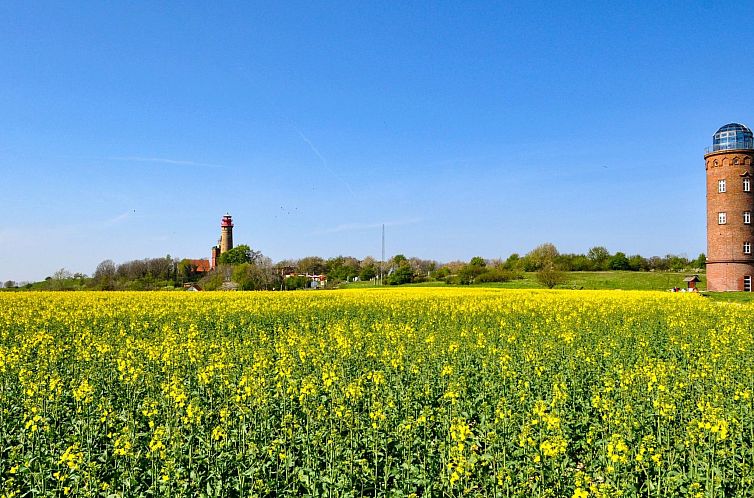 Appartement Herzlich willkommen im Ostseehaus am Naturstand 