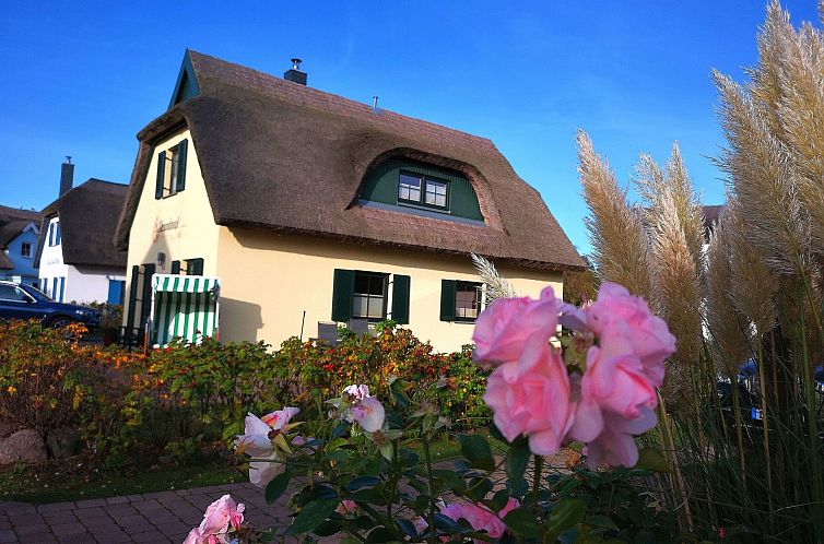 Vakantiehuis Reethaus Strandvogt