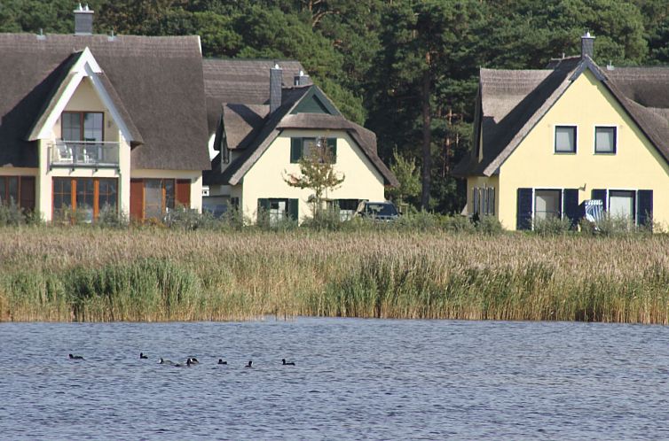 Vakantiehuis Reethaus Strandvogt