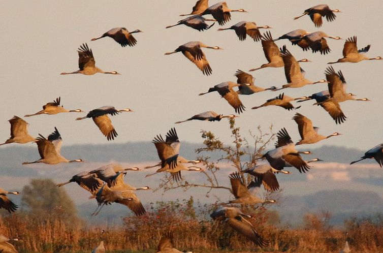 Appartement Meeresblickpanorama