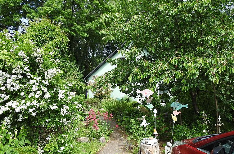 Appartement Ostseestern